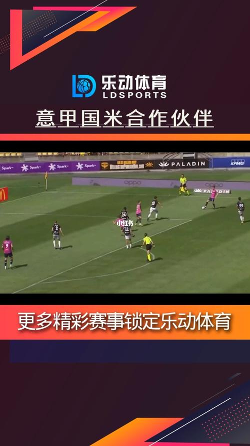 中国vs荷兰直播录像回放